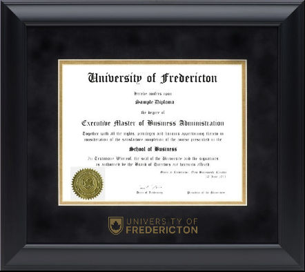 NEW! 120900 Satin black diploma frame with with black velvet top mat and gold bottom mat and gold foil embossing